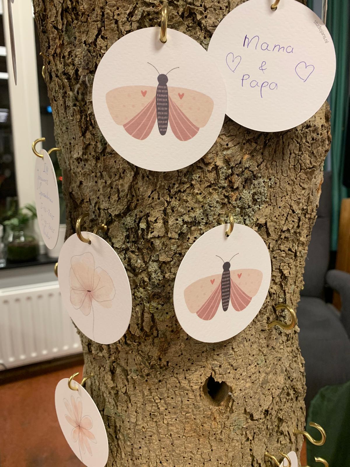 WhatsApp Image 2025 10 06 at 15.47.18 1