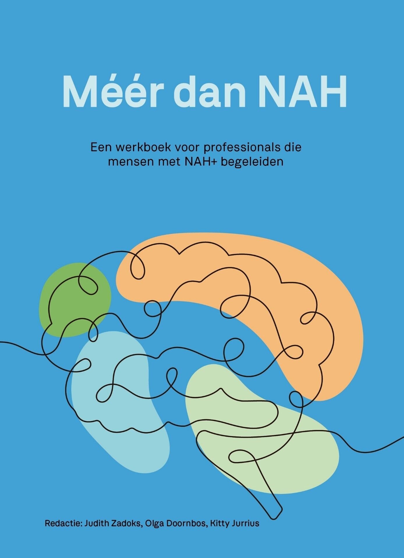 Werkboek Méér dan NAH voor zorgprofessionals
